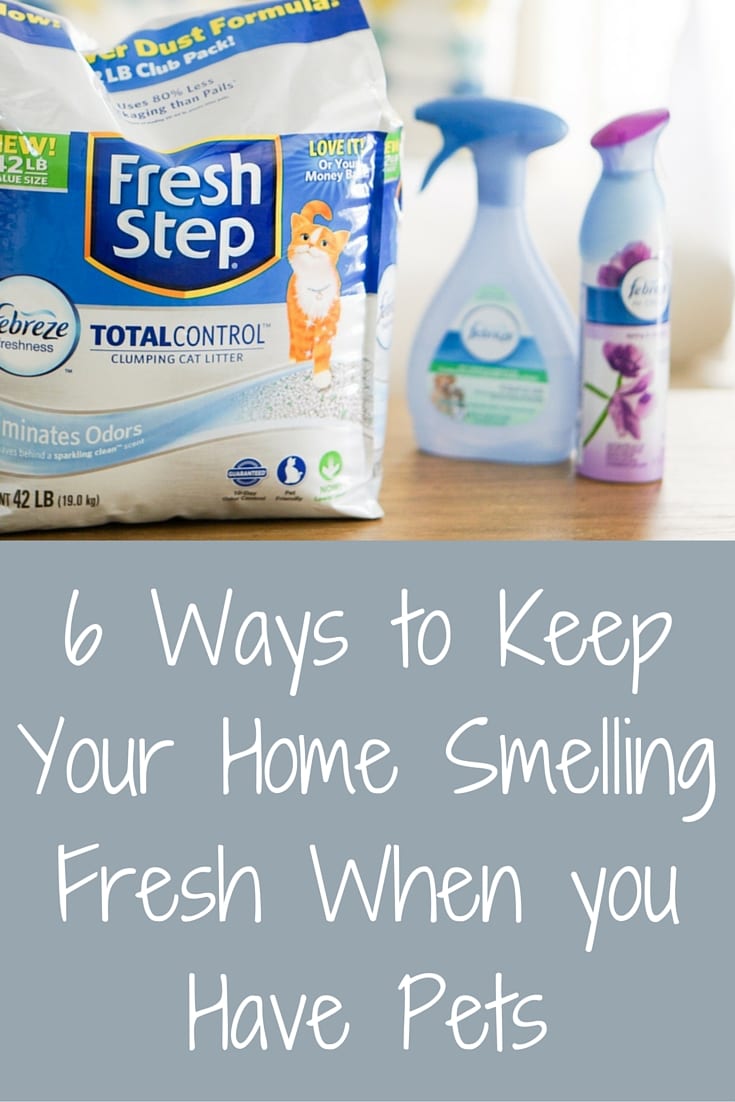 6 Ways to Keep Your Home Smelling Fresh When you Have Pets