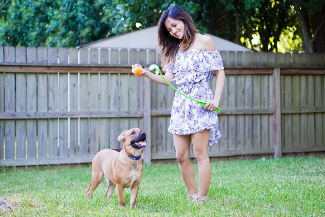 Welcome Home - Doggy Basket Essential DIY