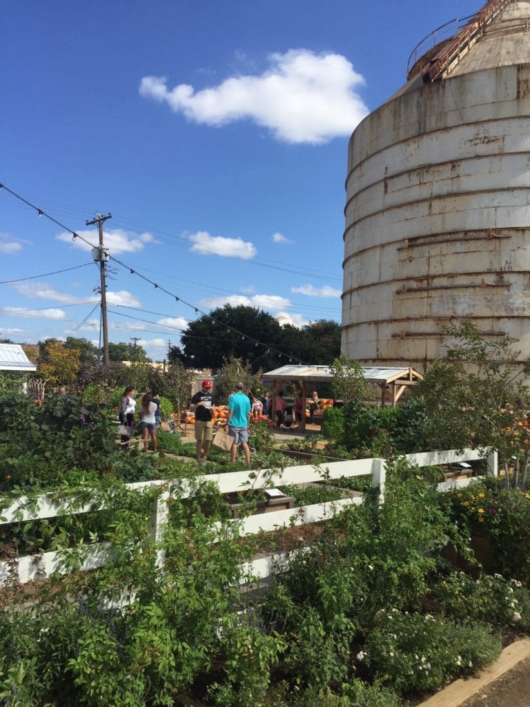 Top 7 Things to Do at Magnolia Market