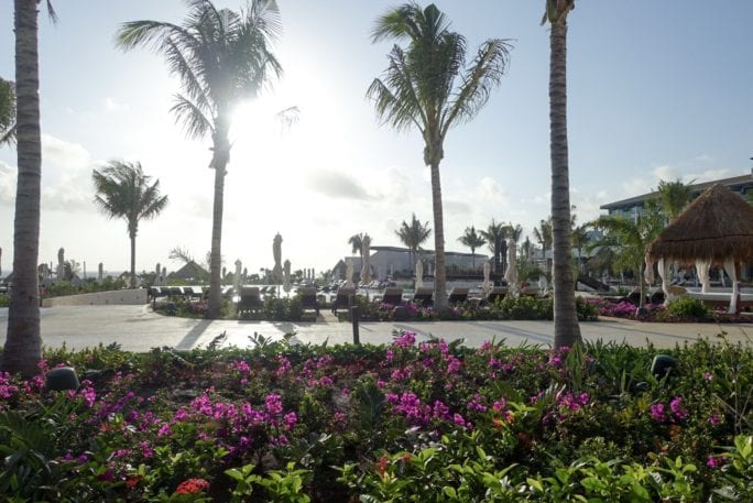 sunrise_palm trees_Dreams resort