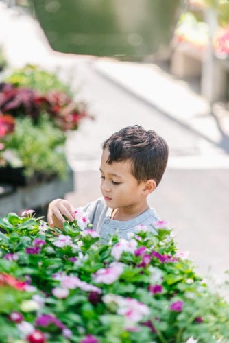 toddler boy, flowers