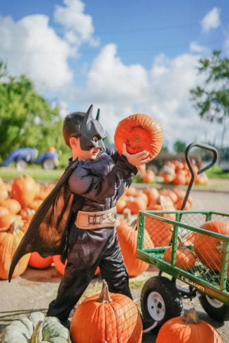 Batman, toddler halloween costumes, pumpkin patch, batman 