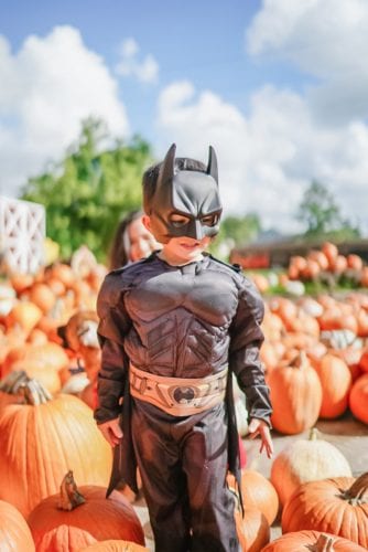 Toddler batman costume 