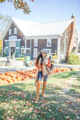 APPLE CIDER, MASSACH-- USETTS FARM, PUMPKIN PATCH