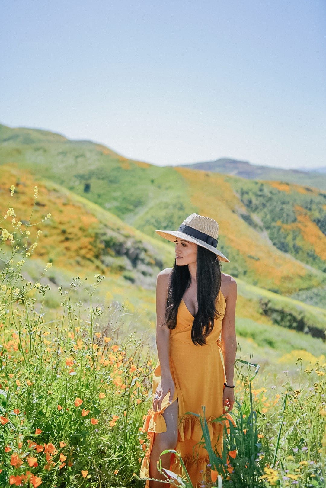 super bloom, poppy fields, flower fields 