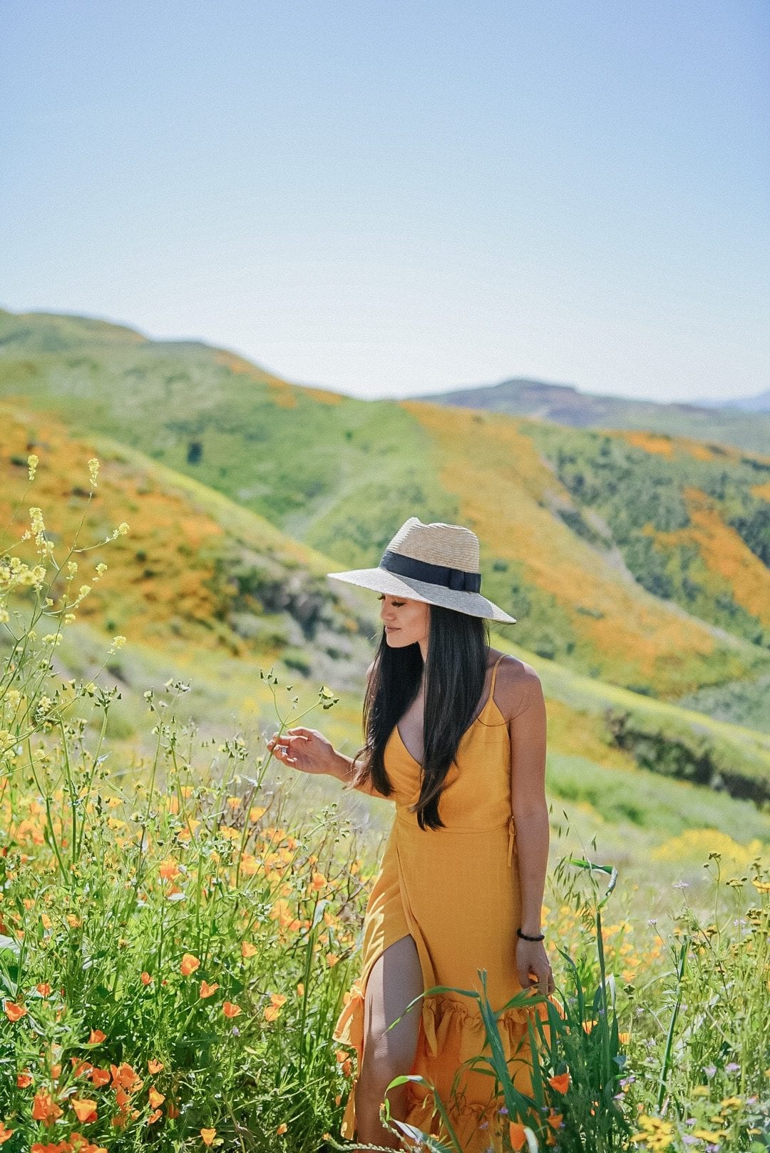 yellow wrap dress, Revolve, spring style, flower field 