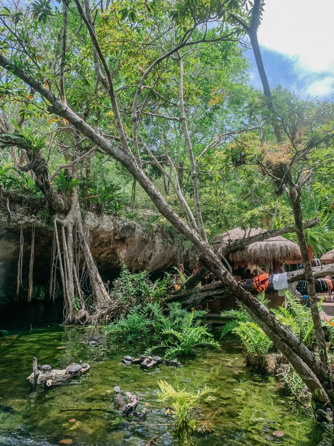 Grand Cenotes 