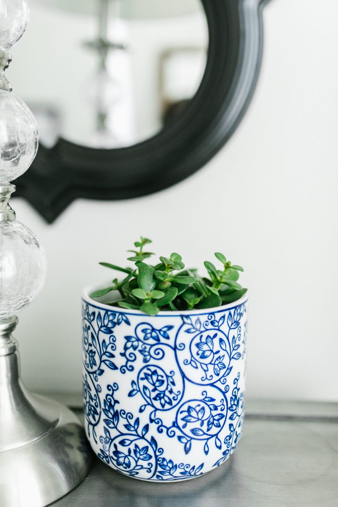 house plants, master bedroom 