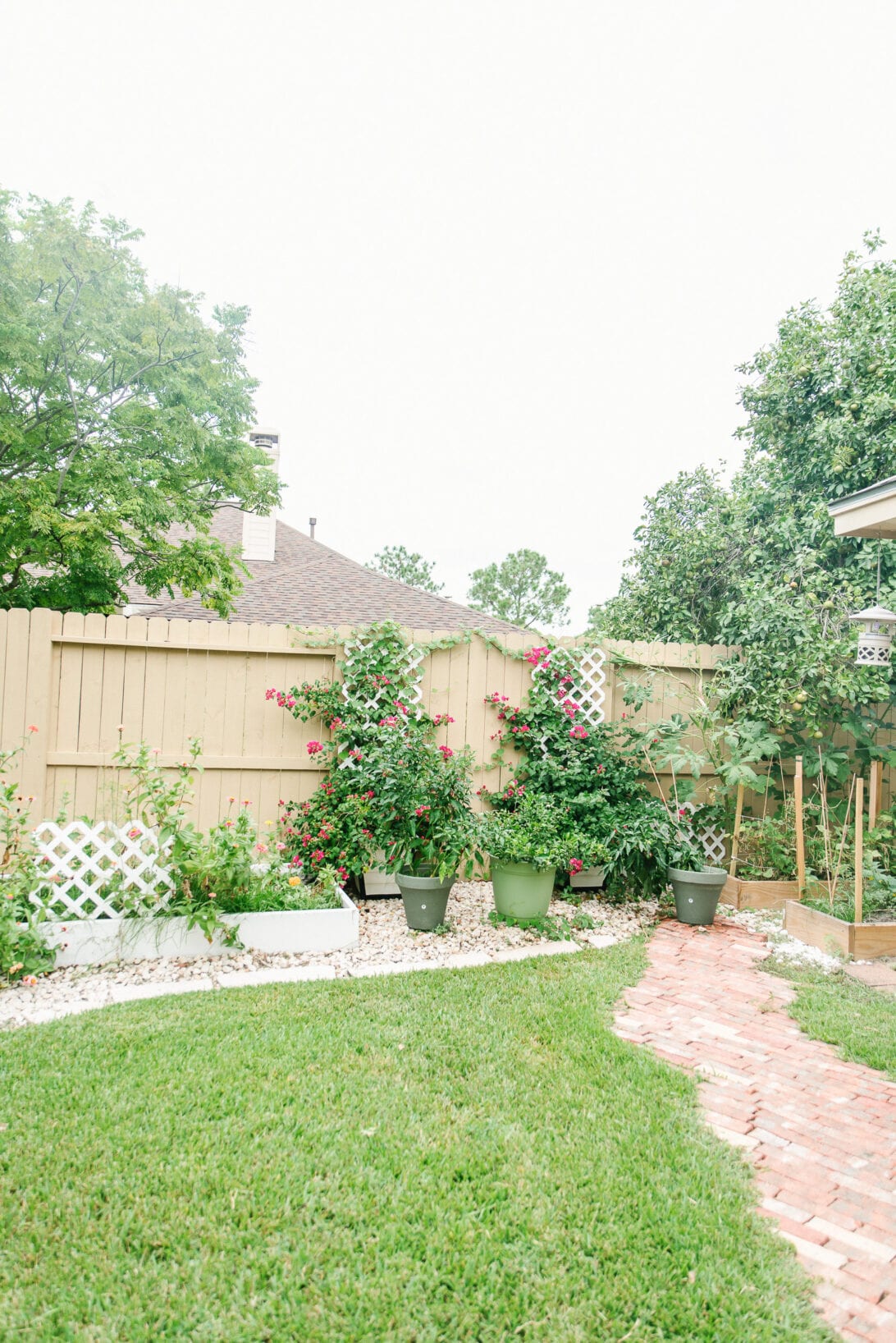 backyard garden