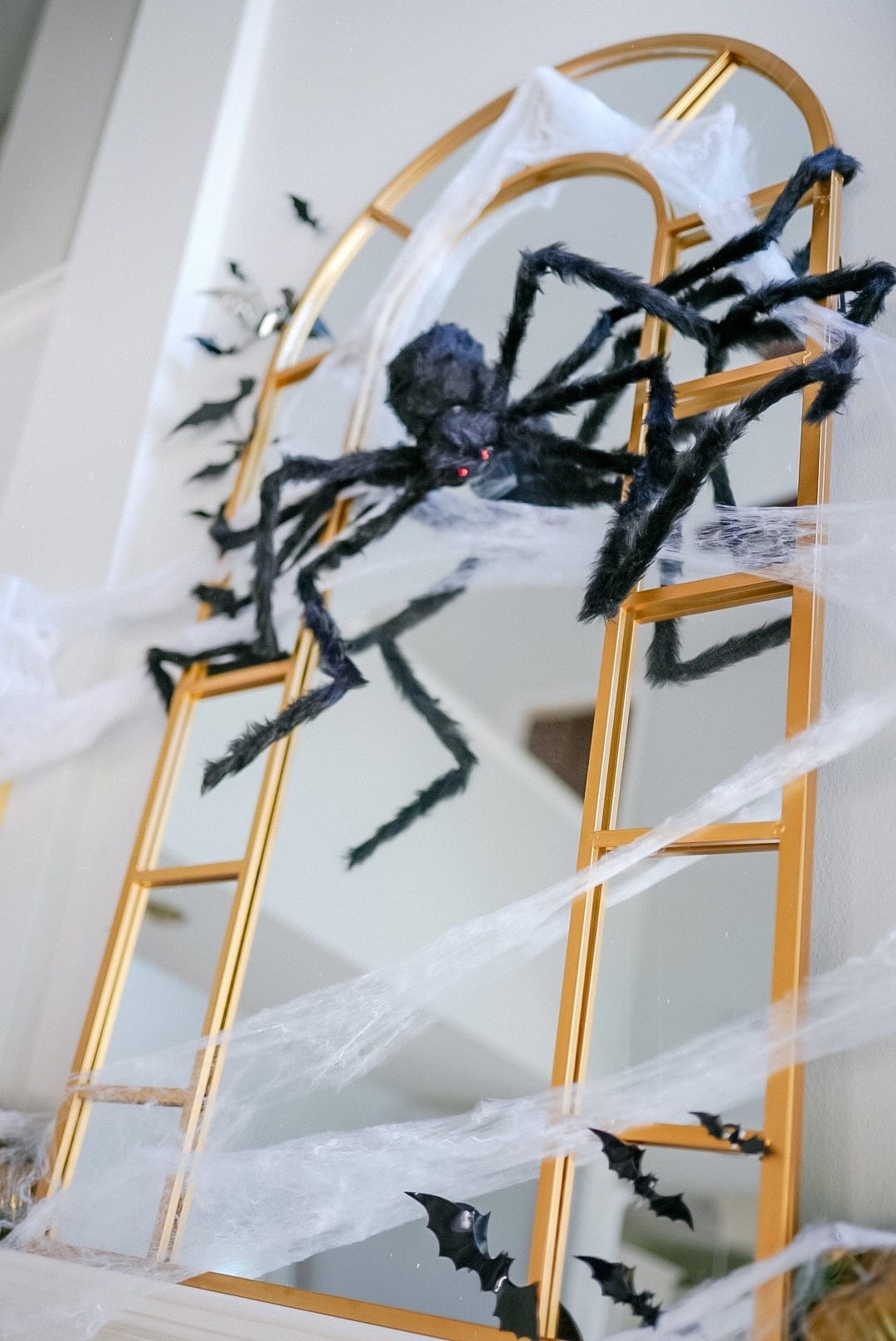Halloween spider 