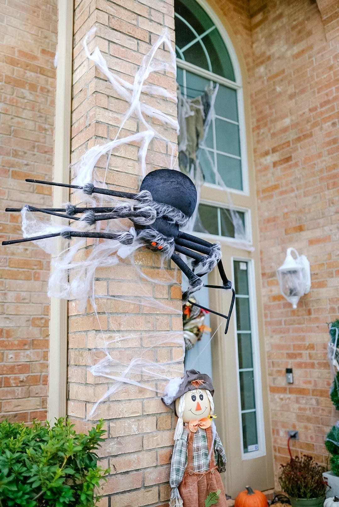 Halloween big spider, life size spider, spider decor 