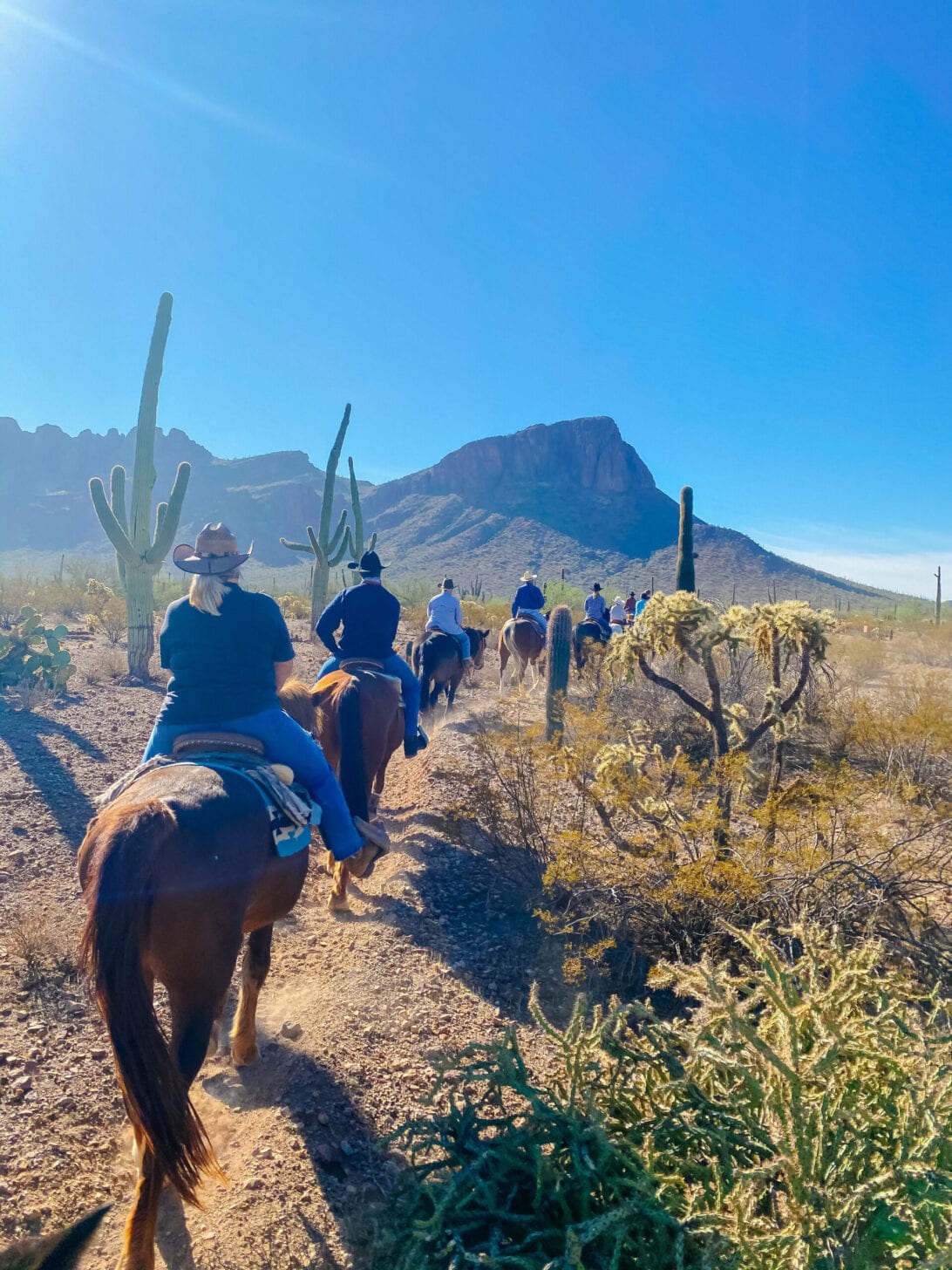 WHITE STALLION RANCH , TRAIL RIDING, HORSE BACK RIDING 