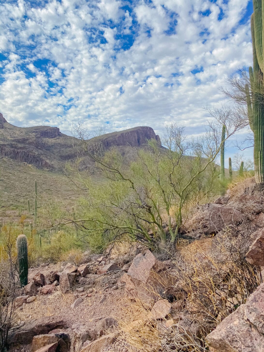 TUSCON, ARIZONA 