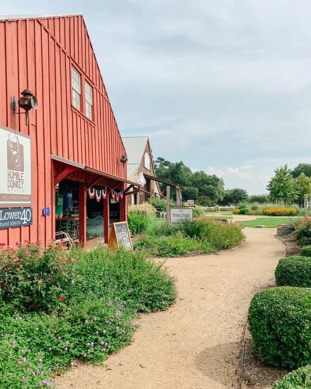 Humble donkey, Round Top, Texas 