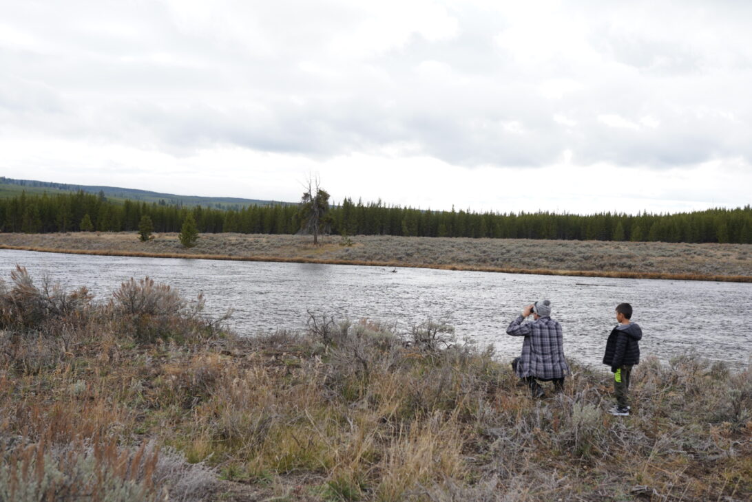 YELLOWSTONE, NATIONAL PARK, FALL