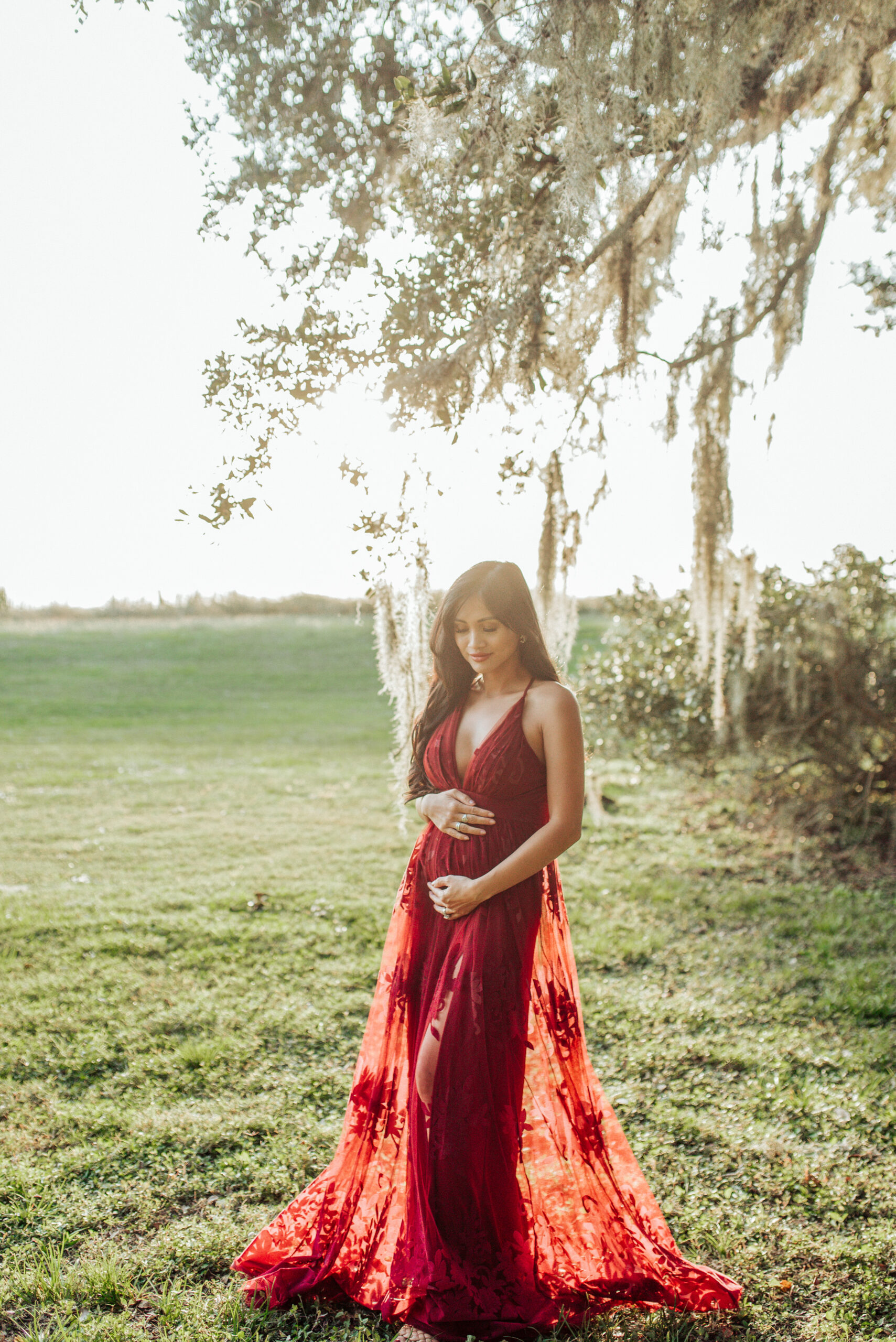 pregnancy announcement , maternity photos, pregnancy photos 