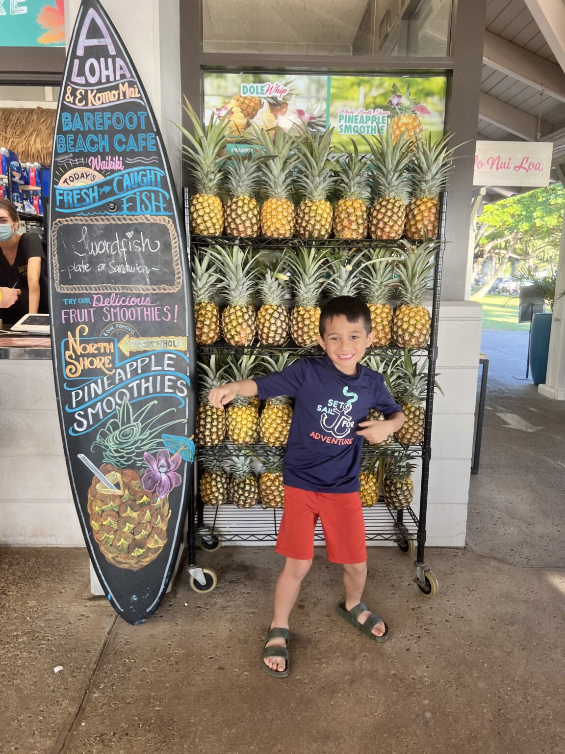 Oahu, Hawaii Family Vacation Guide - Dawn P. Darnell